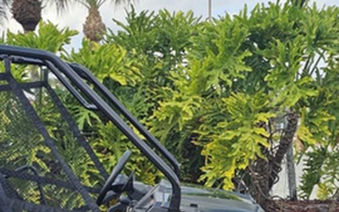 2026 Honda Pioneer 520