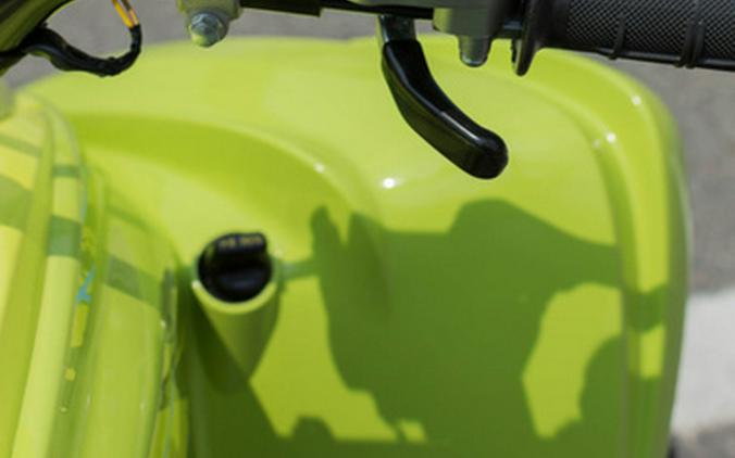 2026 Yamaha Raptor 700R SE