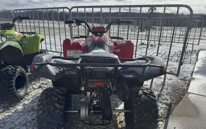 2025 Yamaha Grizzly 110