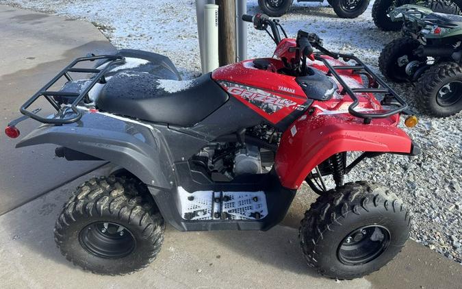 2025 Yamaha Grizzly 110