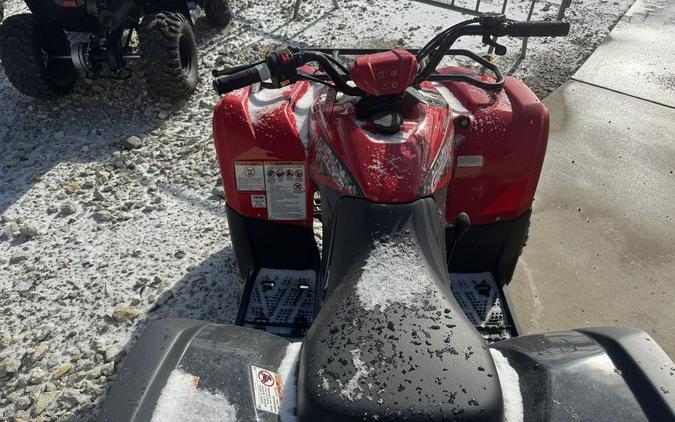 2025 Yamaha Grizzly 110