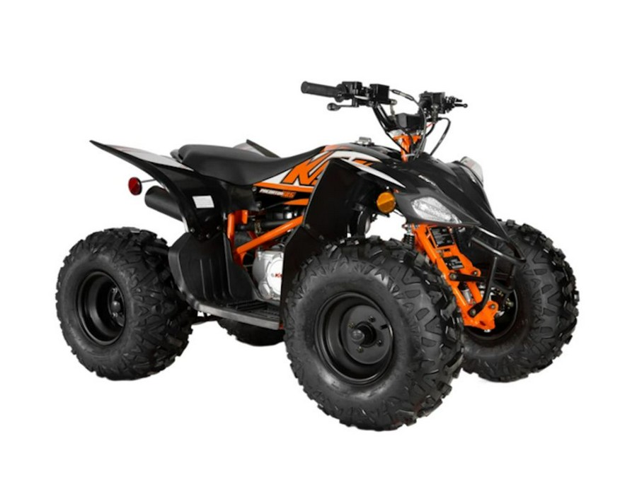 2025 Kayo Predator 125 EFI