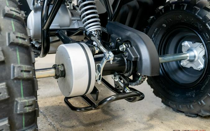 2026 RAPTOR 110 - Yamaha