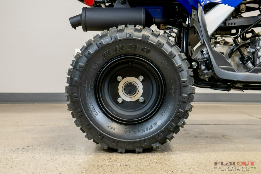 2026 RAPTOR 110 - Yamaha