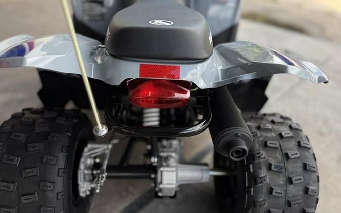 2025 Polaris® Phoenix 200