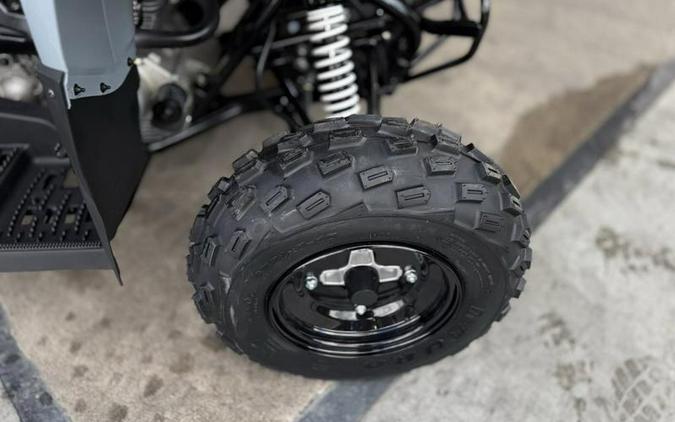 2025 Polaris® Phoenix 200