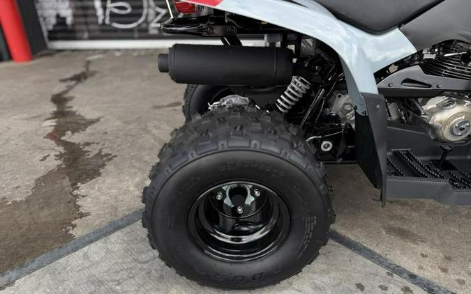 2025 Polaris® Phoenix 200