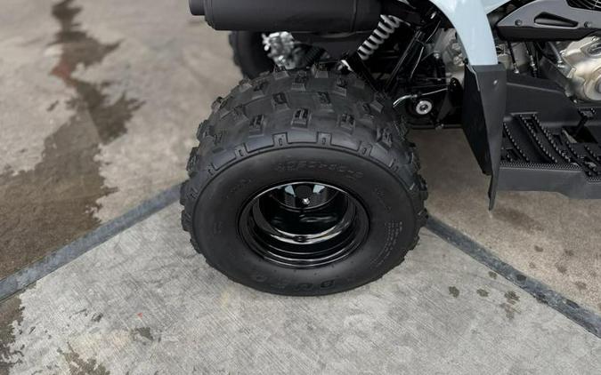 2025 Polaris® Phoenix 200