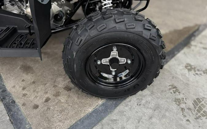 2025 Polaris® Phoenix 200