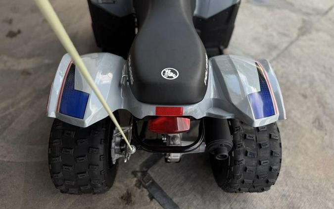 2025 Polaris® Phoenix 200