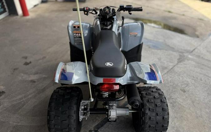 2025 Polaris® Phoenix 200