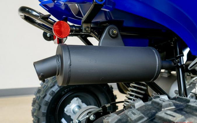 2026 RAPTOR 110 - Yamaha