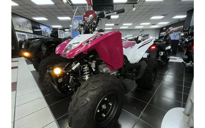 2023 Honda FOURYRAX 250X