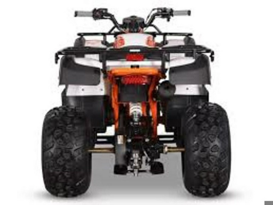 2026 Kayo Bull 150 EFI