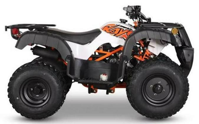 2026 Kayo Bull 150 EFI