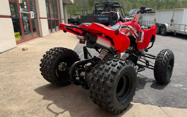 2026 Kayo Storm 300 EFI