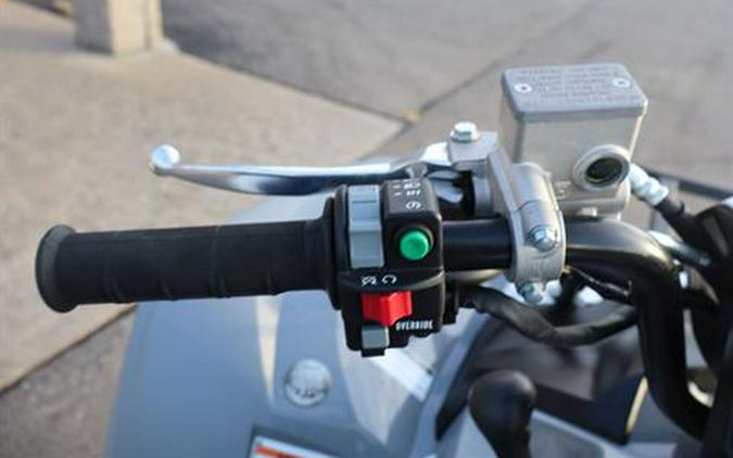 2024 Yamaha Grizzly EPS