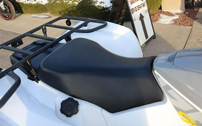 2024 Yamaha Grizzly EPS