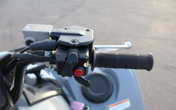 2024 Yamaha Grizzly EPS