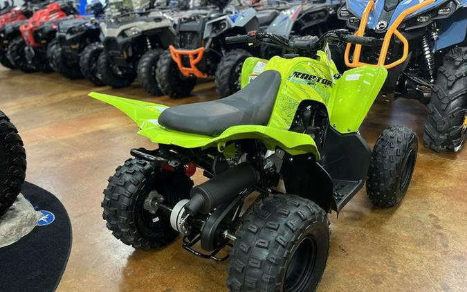 2026 Yamaha Raptor 110