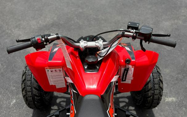 2026 Kayo Storm 300 EFI