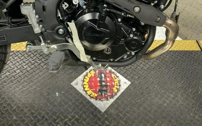 2025 Kawasaki KLX®230SM ABS