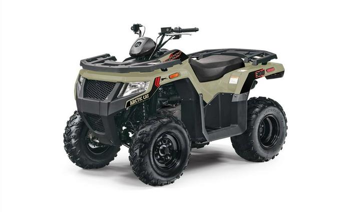 2022 Arctic Cat Alterra 300