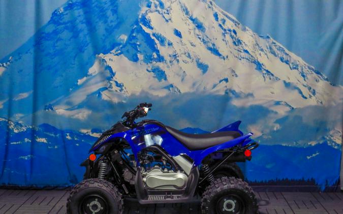 2025 Yamaha Raptor 110