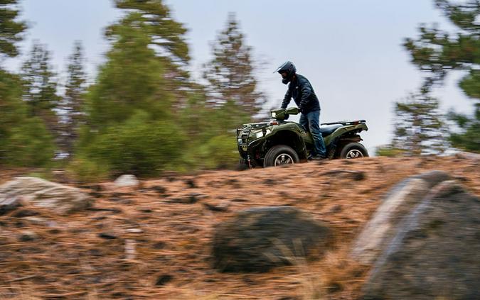 2026 Kawasaki Brute Force® 750 SE EPS