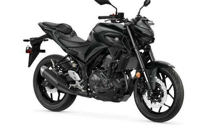 2025 Yamaha MT 03