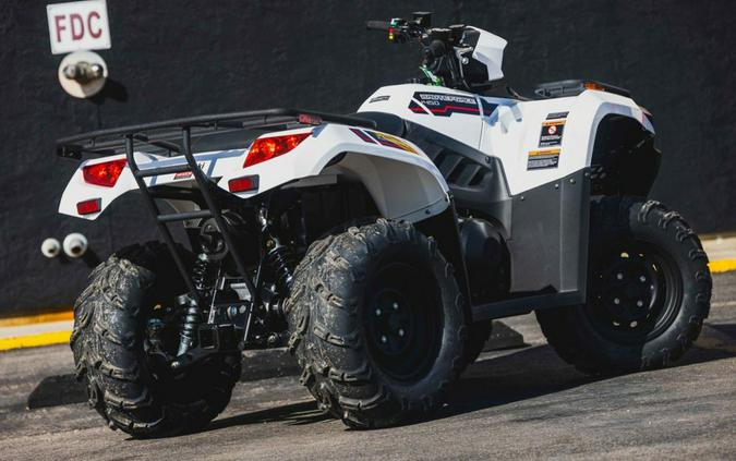 2025 Kawasaki Brute Force® 450 4x4