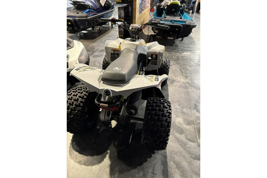 2026 RENEGADE 110 EFI - Can-Am