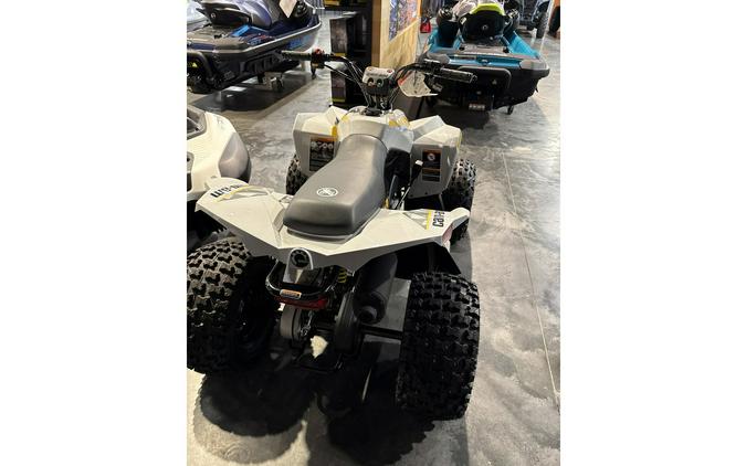 2026 RENEGADE 110 EFI - Can-Am