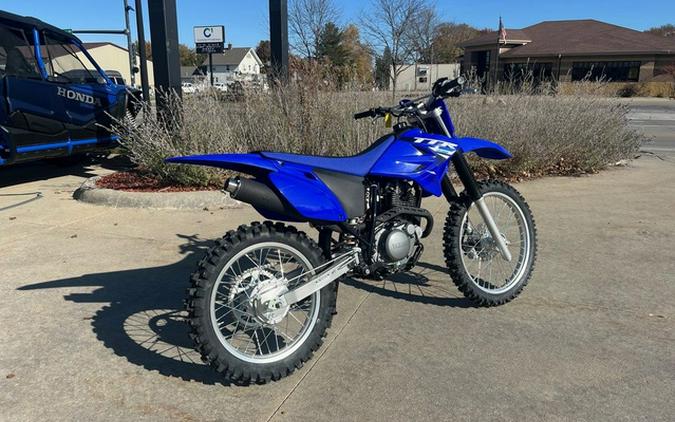 2025 Yamaha TT-R 230