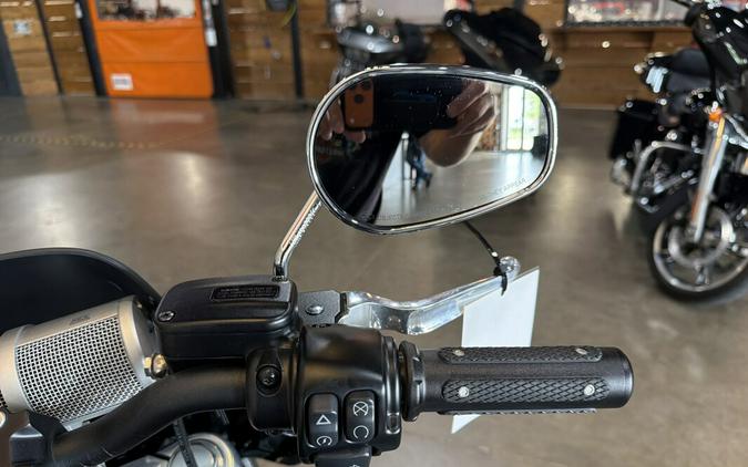 2020 Harley-Davidson® Softail Standard® FXST