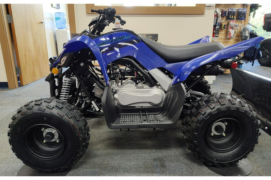 2025 Yamaha Raptor 110