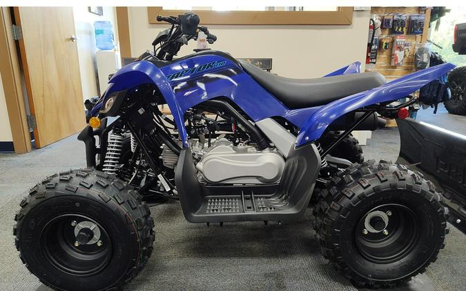 2025 Yamaha Raptor 110