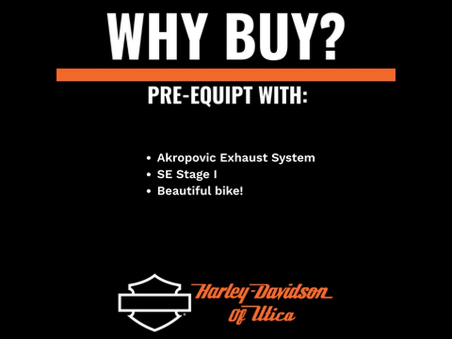 2009 Harley-Davidson V-Rod® Muscle™