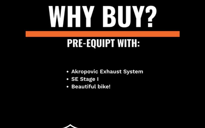 2009 Harley-Davidson V-Rod® Muscle™