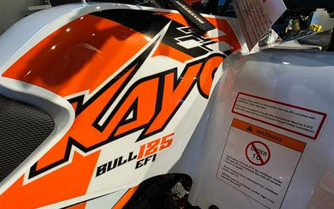 2026 Kayo Bull 125 EFI