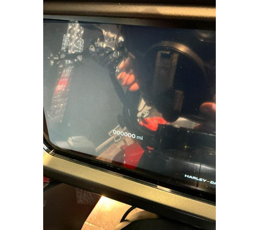 2025 Harley-Davidson Road Glide®