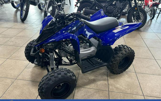 2026 Yamaha Raptor 110