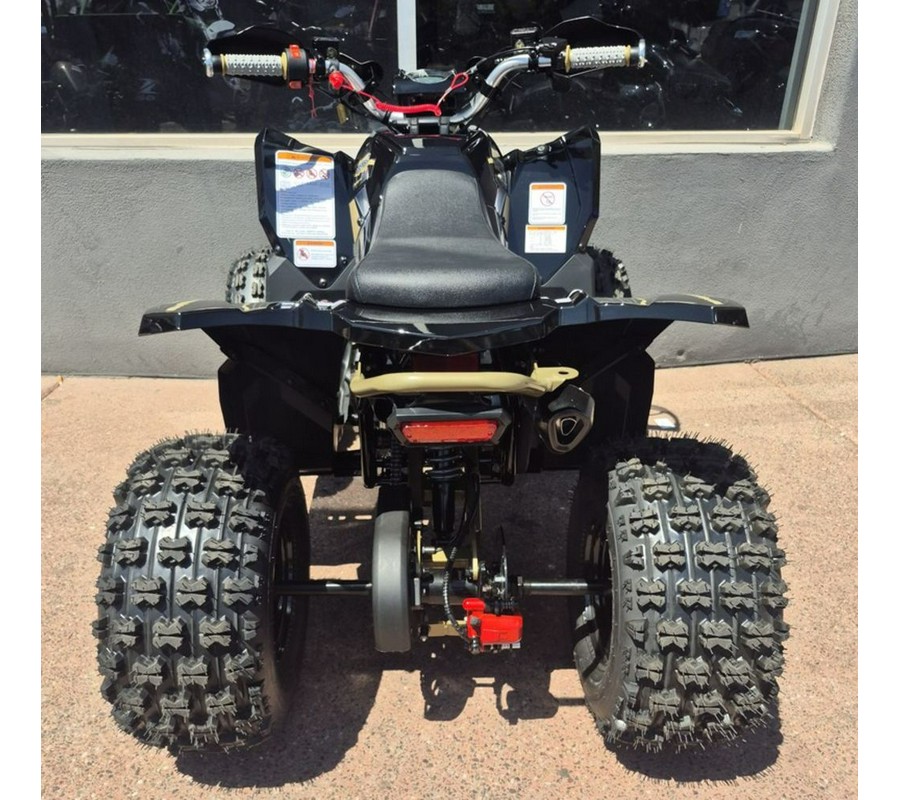 2026 Denago Powersports Trailhawk 10 FI