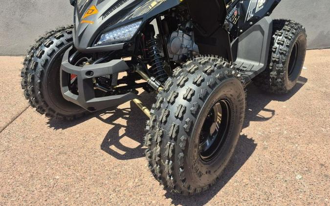 2026 Denago Powersports Trailhawk 10 FI
