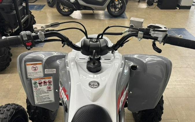 2026 Yamaha Raptor 700
