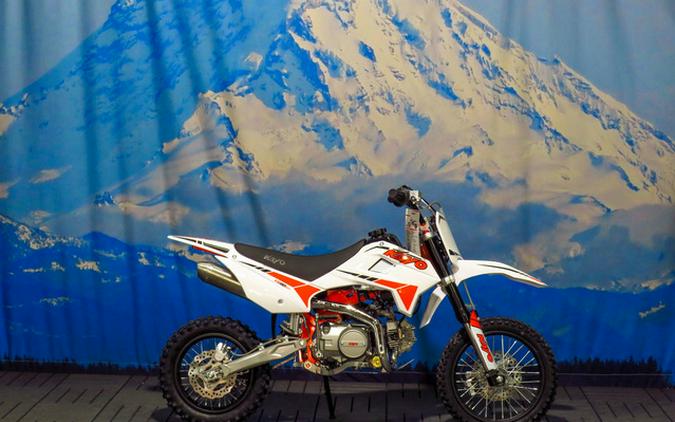 2027 Kayo TD 110 EFI