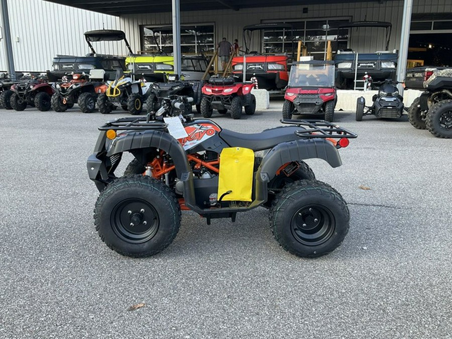 2026 Kayo Bull 150 EFI