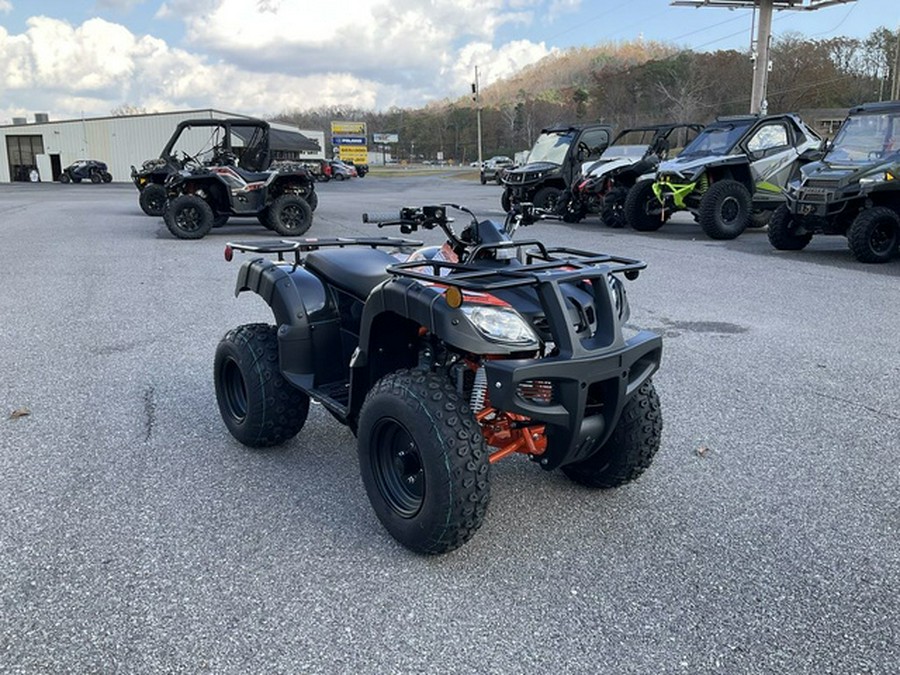 2026 Kayo Bull 150 EFI