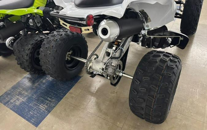 2026 Yamaha Raptor 700