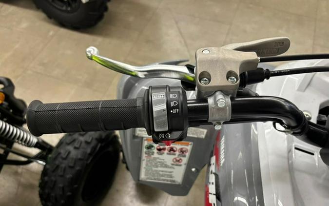 2026 Yamaha Raptor 700